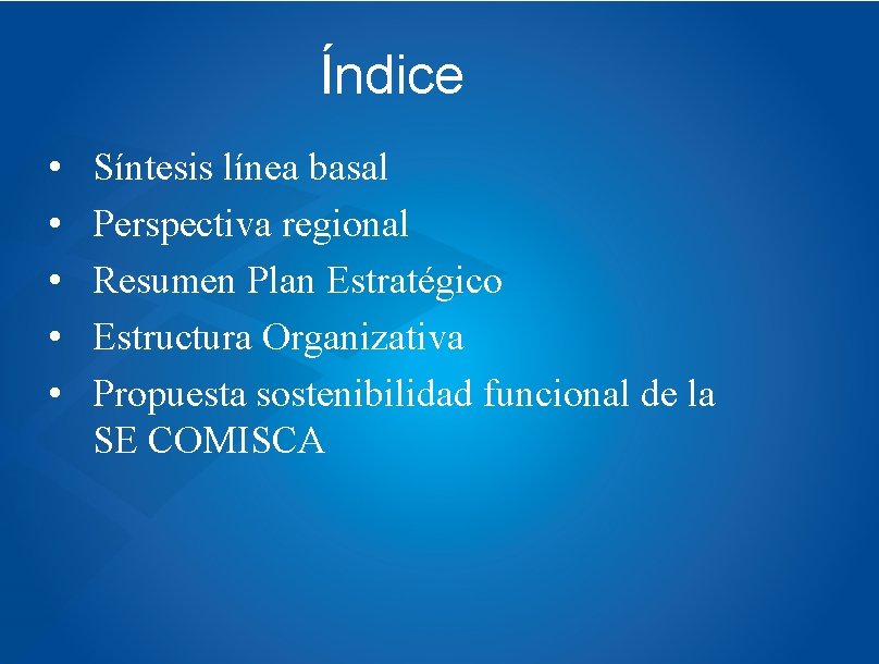 Índice • • • Síntesis línea basal Perspectiva regional Resumen Plan Estratégico Estructura Organizativa