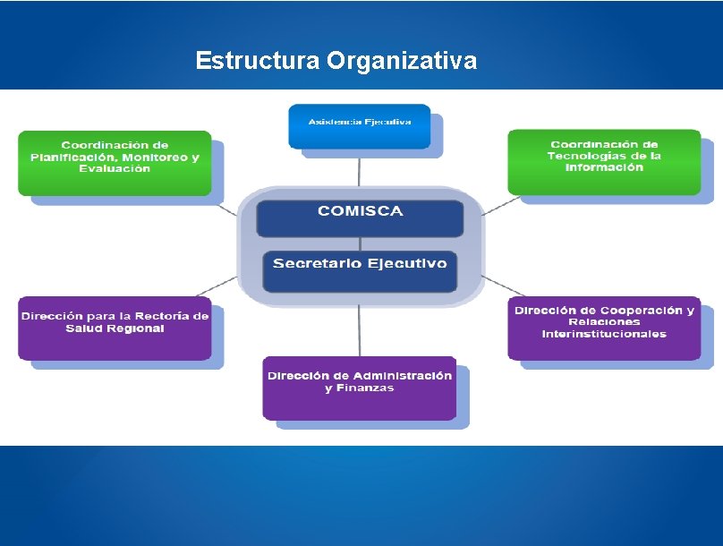Estructura Organizativa 