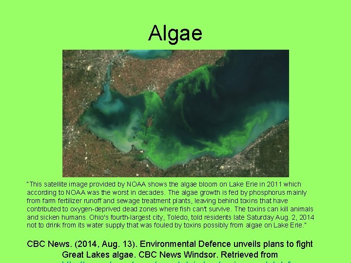 Algae “This satellite image provided by NOAA shows the algae bloom on Lake Erie