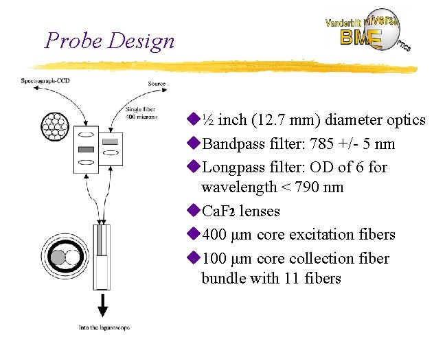 Design of an Endoscopic Raman Probe for the