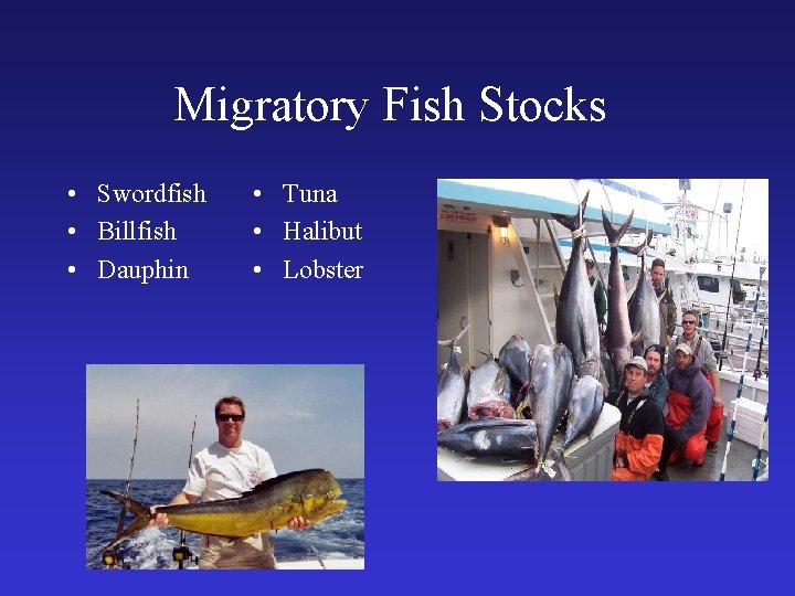 Migratory Fish Stocks • Swordfish • Billfish • Dauphin • Tuna • Halibut •