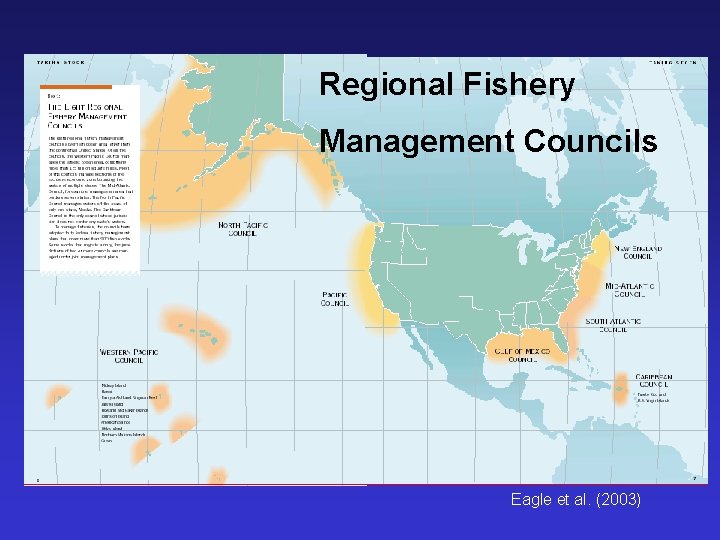 Regional Fishery Management Councils Eagle et al. (2003) 