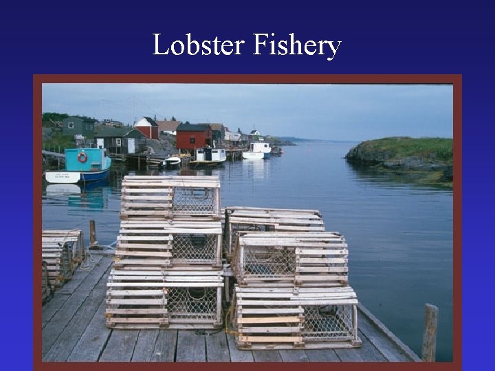 Lobster Fishery 