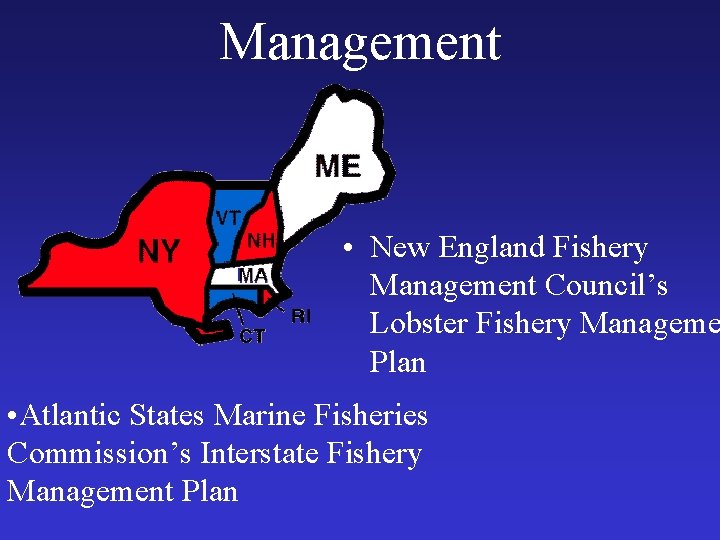 Management • New England Fishery Management Council’s Lobster Fishery Manageme Plan • Atlantic States