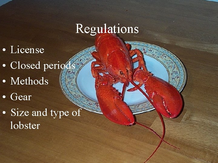 Regulations • • • License Closed periods Methods Gear Size and type of lobster
