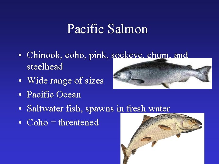 Pacific Salmon • Chinook, coho, pink, sockeye, chum, and steelhead • Wide range of