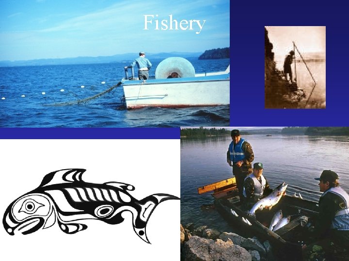 Fishery 