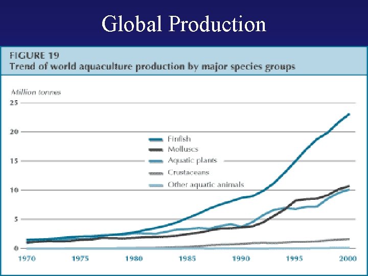 Global Production 