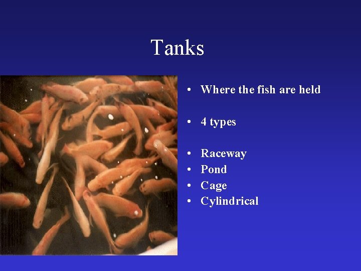 Tanks • Where the fish are held • 4 types • • Raceway Pond