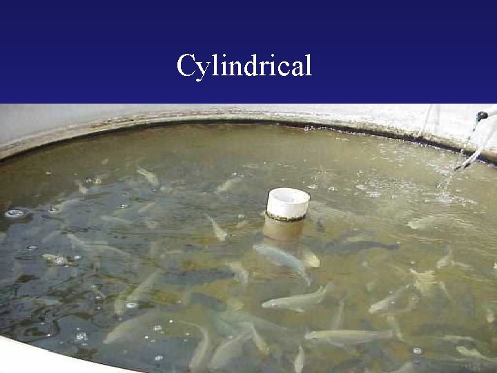 Cylindrical 