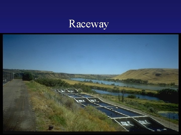 Raceway 