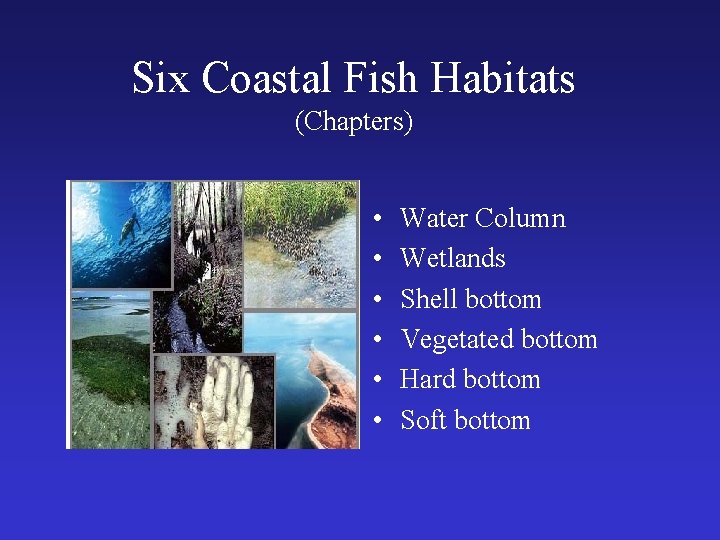 Six Coastal Fish Habitats (Chapters) • • • Water Column Wetlands Shell bottom Vegetated