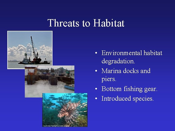 Threats to Habitat • Environmental habitat degradation. • Marina docks and piers. • Bottom