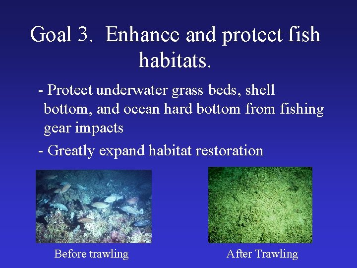 Goal 3. Enhance and protect fish habitats. - Protect underwater grass beds, shell bottom,