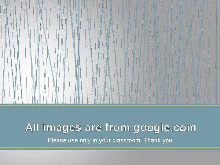 All images are from google. com Please use only in your classroom. Thank you.