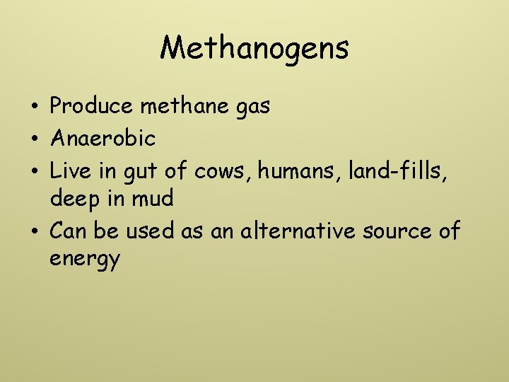 Methanogens • Produce methane gas • Anaerobic • Live in gut of cows, humans,