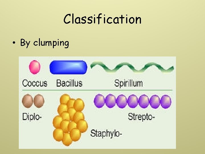 Classification • By clumping 