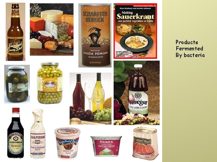 Products Fermented By bacteria 