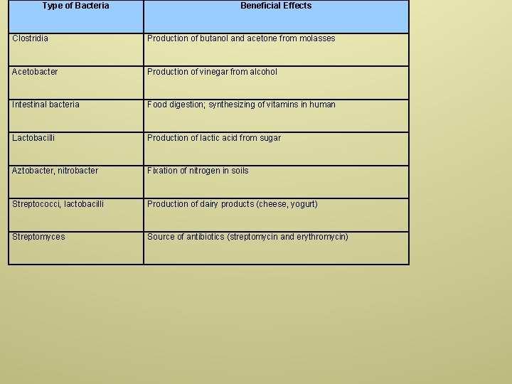 Type of Bacteria Beneficial Effects Clostridia Production of butanol and acetone from molasses Acetobacter