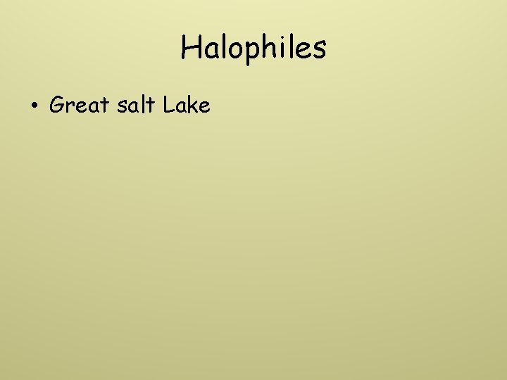 Halophiles • Great salt Lake 
