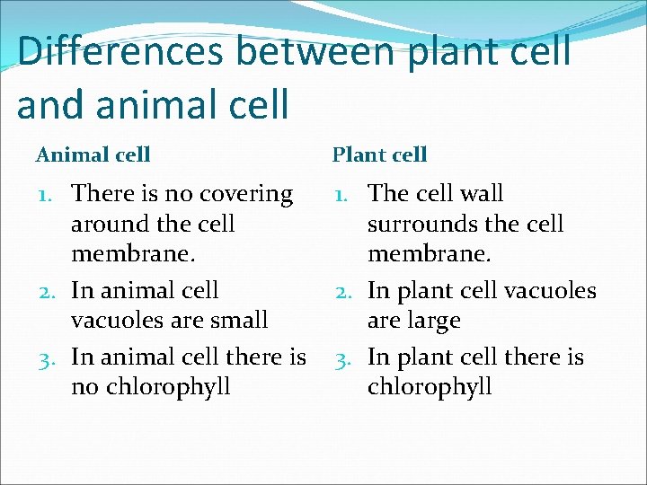 Differences between plant cell and animal cell Animal cell Plant cell 1. There is