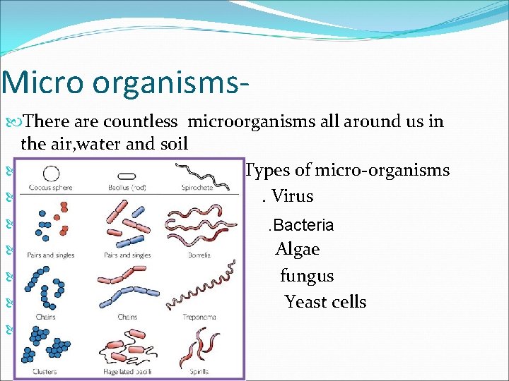 Micro organisms There are countless microorganisms all around us in the air, water and