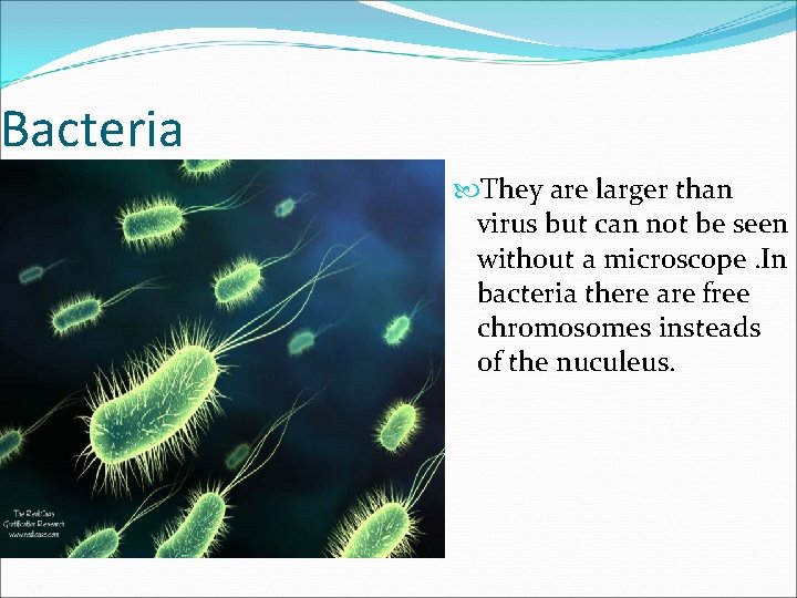 Bacteria They are larger than virus but can not be seen without a microscope.