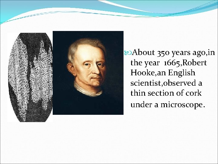  About 350 years ago, in the year 1665, Robert Hooke, an English scientist,