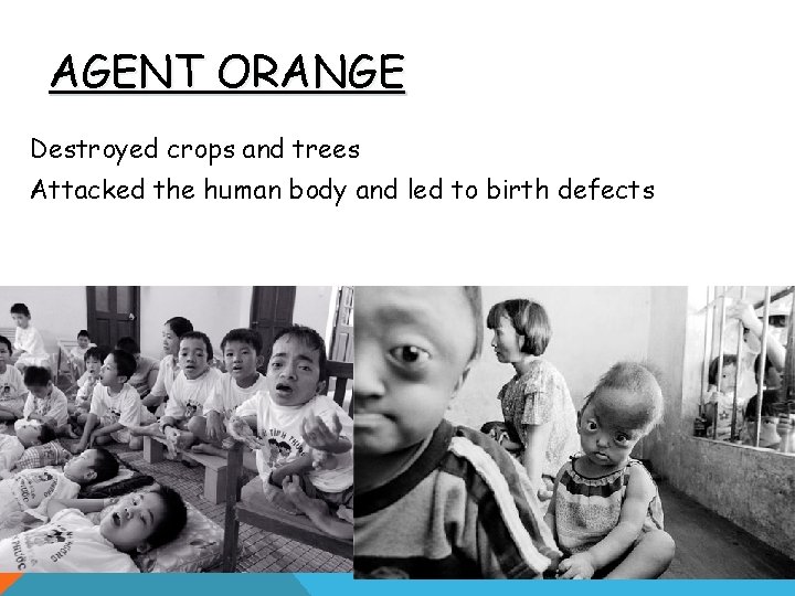 AGENT ORANGE Destroyed crops and trees Attacked the human body and led to birth