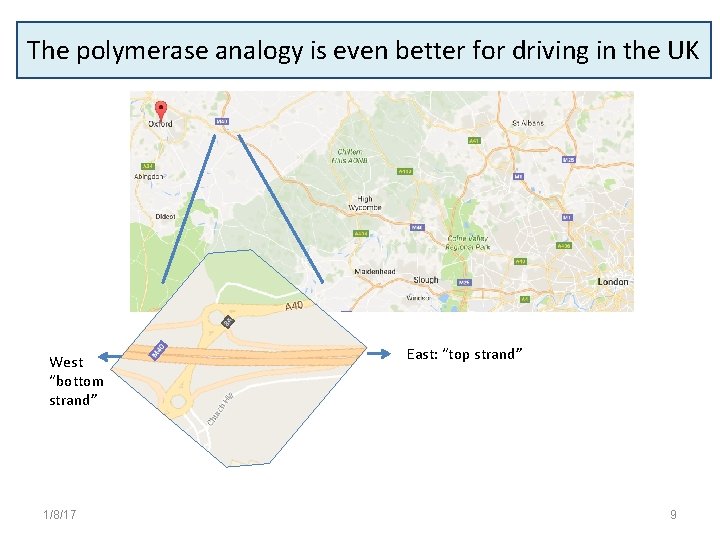 The polymerase analogy is even better for driving in the UK West “bottom strand”