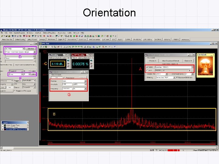 Orientation 
