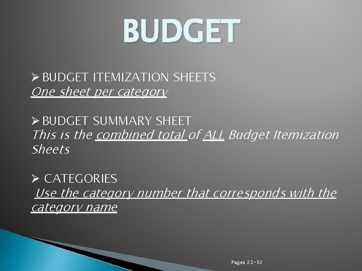 BUDGET Ø BUDGET ITEMIZATION SHEETS One sheet per category Ø BUDGET SUMMARY SHEET This