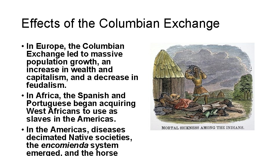 Effects of the Columbian Exchange • In Europe, the Columbian Exchange led to massive