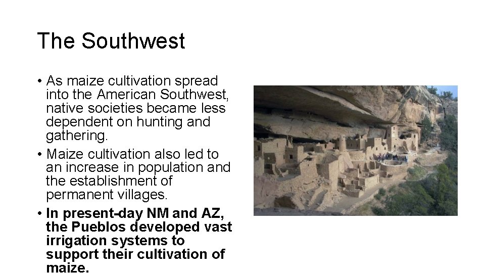 The Southwest • As maize cultivation spread into the American Southwest, native societies became