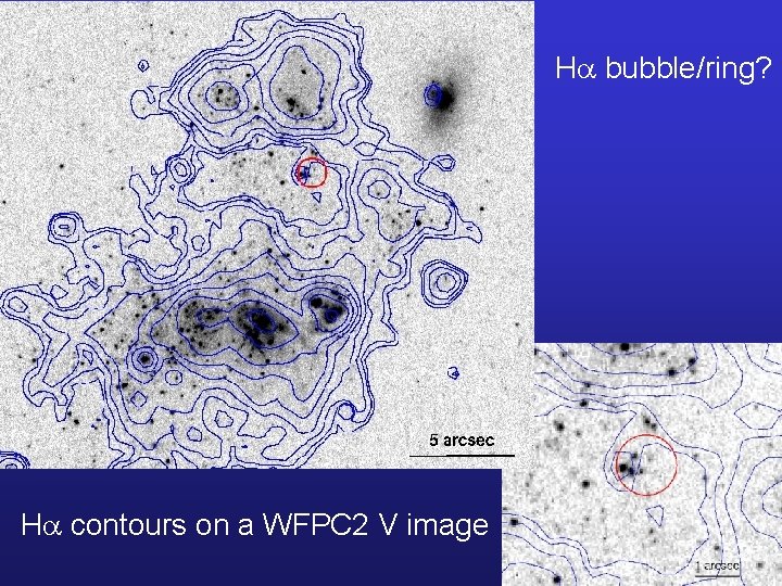 Ha bubble/ring? Ha contours on a WFPC 2 V image 