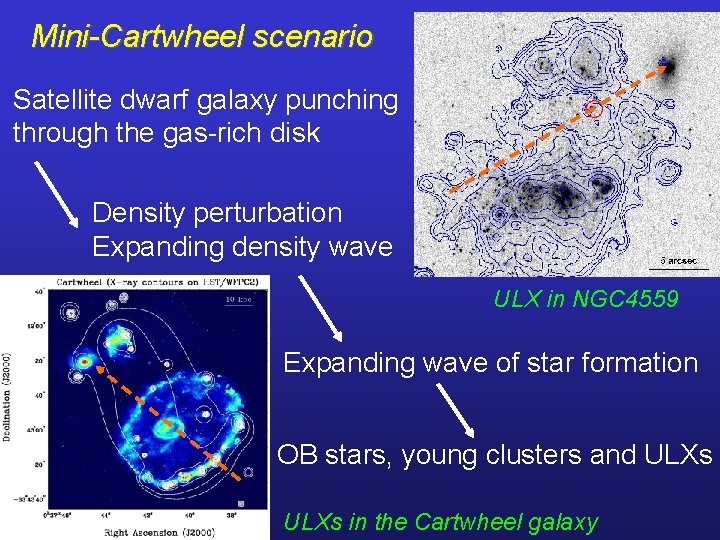 Mini-Cartwheel scenario Satellite dwarf galaxy punching through the gas-rich disk Density perturbation Expanding density