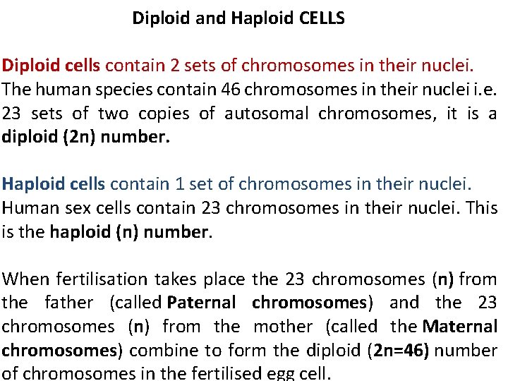 Diploid and Haploid CELLS Diploid cells contain 2 sets of chromosomes in their nuclei.