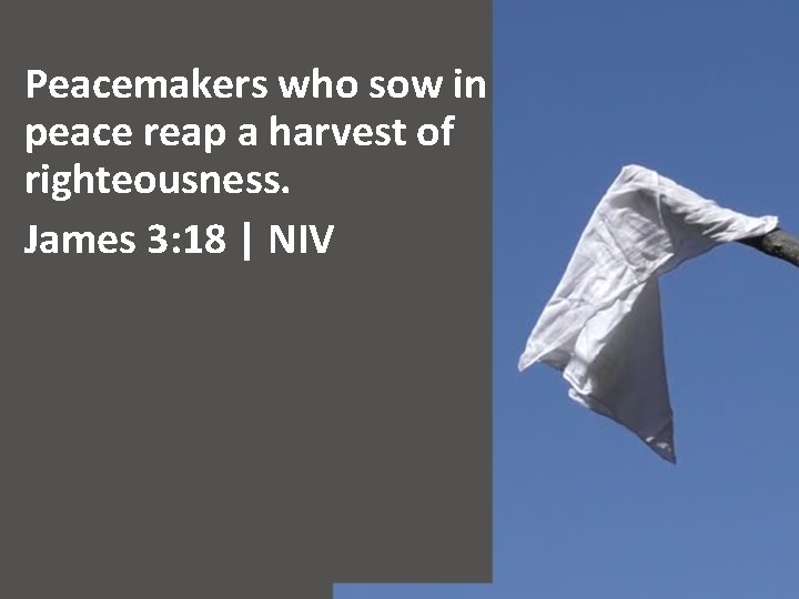 Peacemakers who sow in peace reap a harvest of righteousness. James 3: 18 |