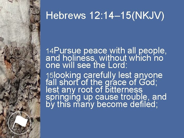 Hebrews 12: 14– 15(NKJV) 14 Pursue peace with all people, and holiness, without which