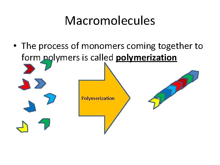 Macromolecules • The process of monomers coming together to form polymers is called polymerization