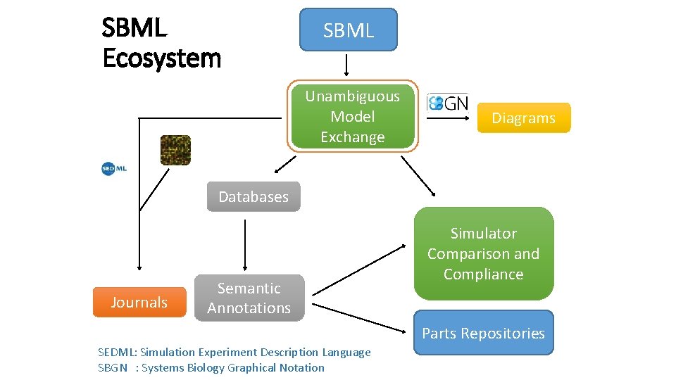 SBML Ecosystem SBML Unambiguous Model Exchange Diagrams Databases Journals Semantic Annotations Simulator Comparison and