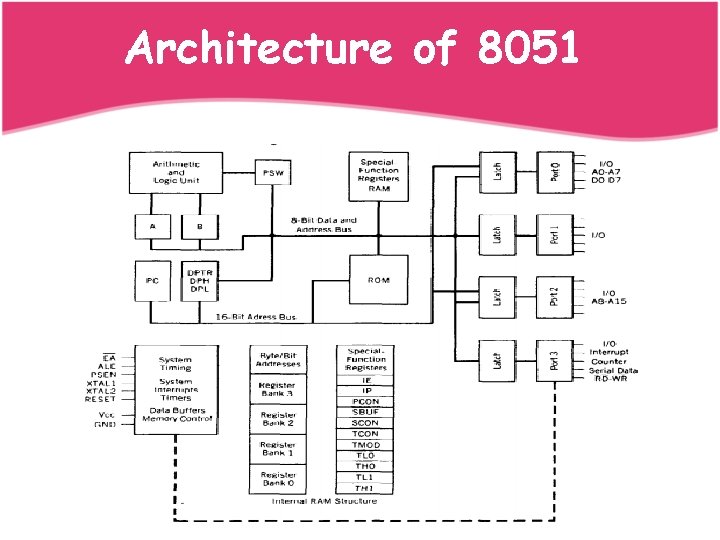 Architecture of 8051 