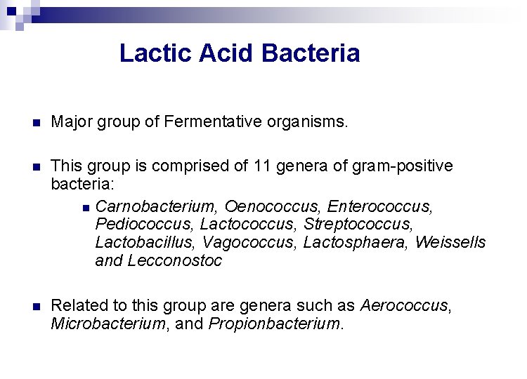 Lactic Acid Bacteria n Major group of Fermentative organisms. n This group is comprised