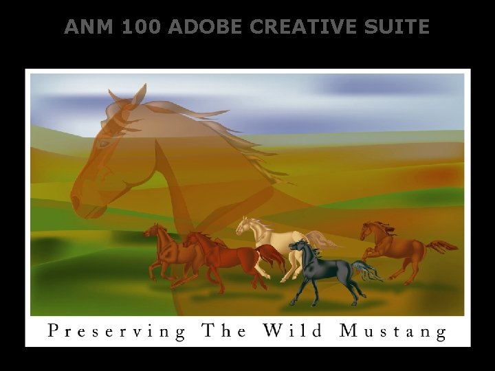 ANM 100 ADOBE CREATIVE SUITE 