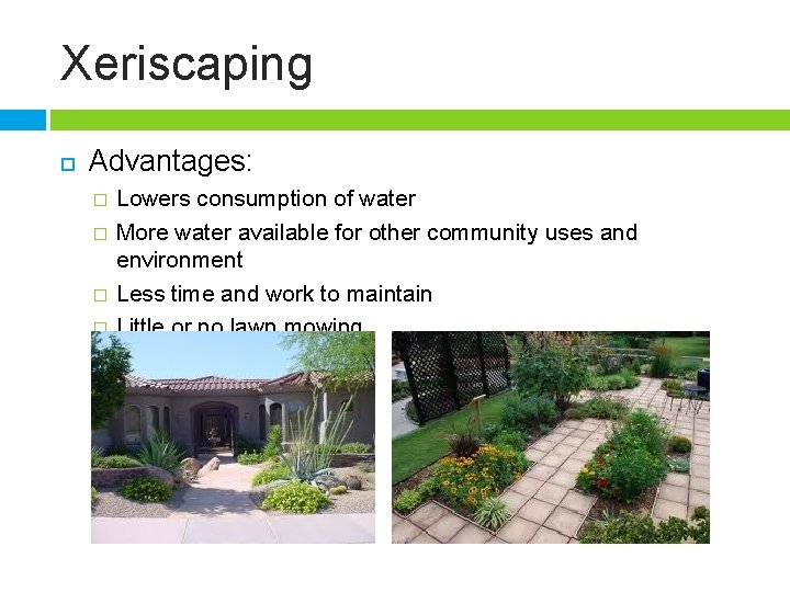 Xeriscaping Advantages: � � Lowers consumption of water More water available for other community