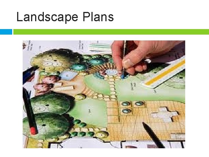 Landscape Plans 