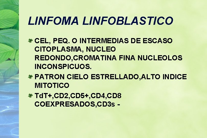 LINFOMA LINFOBLASTICO CEL, PEQ. O INTERMEDIAS DE ESCASO CITOPLASMA, NUCLEO REDONDO, CROMATINA FINA NUCLEOLOS