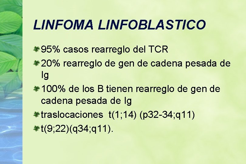 LINFOMA LINFOBLASTICO 95% casos rearreglo del TCR 20% rearreglo de gen de cadena pesada