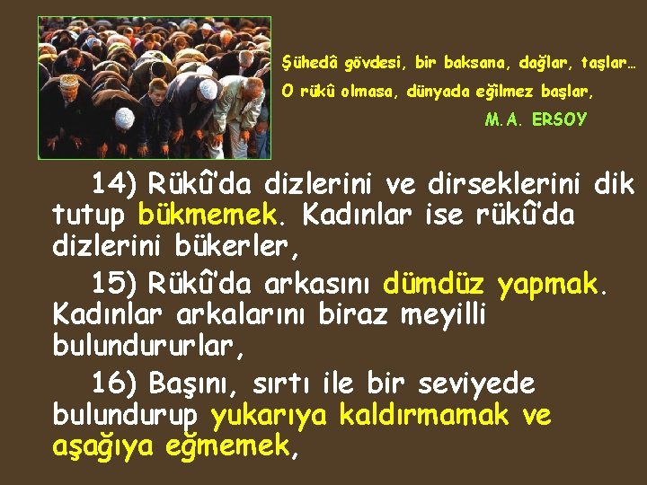 Şühedâ gövdesi, bir baksana, dağlar, taşlar… O rükû olmasa, dünyada eğilmez başlar, M. A.