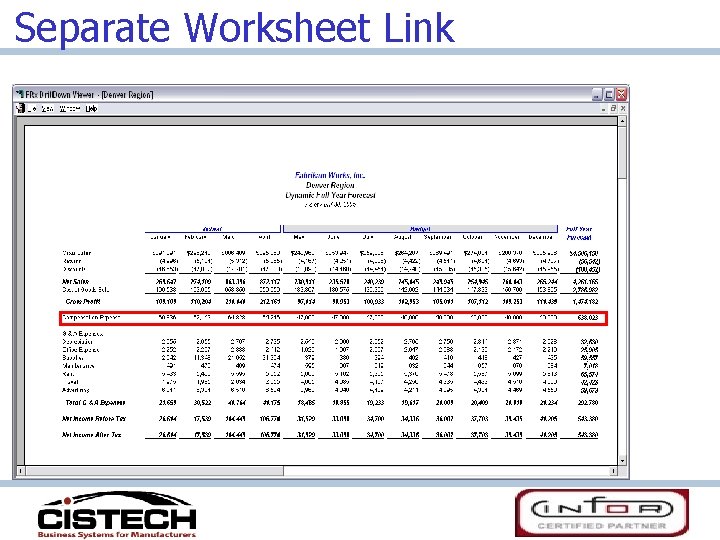 Separate Worksheet Link 